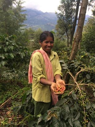 Farming Image